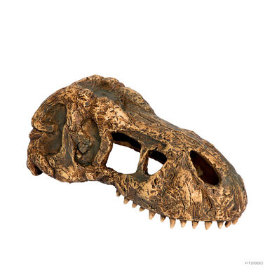Exo Terra Cráneo de T-Rex Pequeño Decoración para terrarios